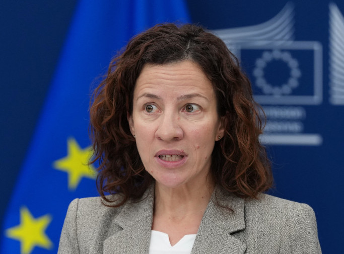 Evropska komisija: Romsko nasleđe je sastavni deo kulturnog bogatstva evropskog kontinenta