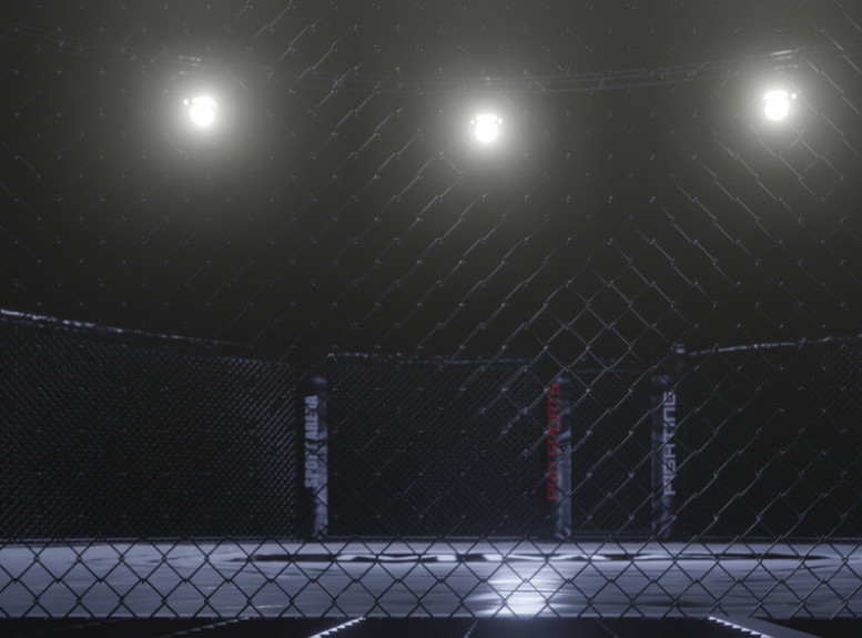 Hanter Bajden: Pristao bih na meč sa sinovima Donalda Trampa u kavezu