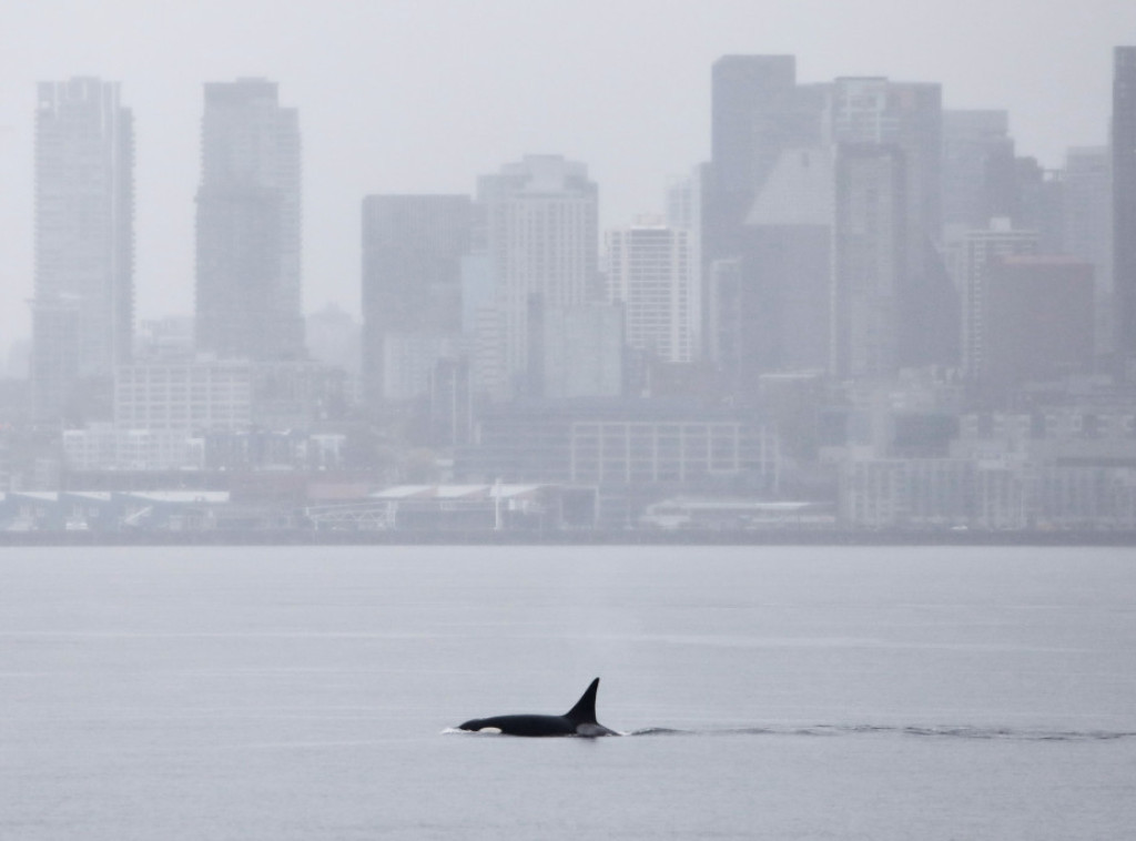 MMF, Svetska banka i IEA upozoravaju na ekonomske posledice rata na Bliskom istoku