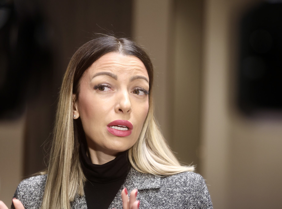 Adrijana Mesarović održala sastanke sa predstavnicima ambasada Poljske, Grčke i Slovačke