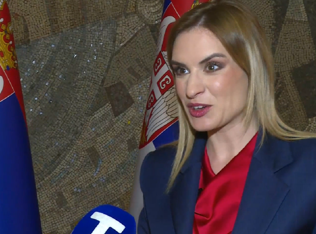 Milica Đurđević Stamenkovski: Od 1.maja Platforma za podršku zaposlenima u Centrima za socijalni rad koji koriste SOZIS