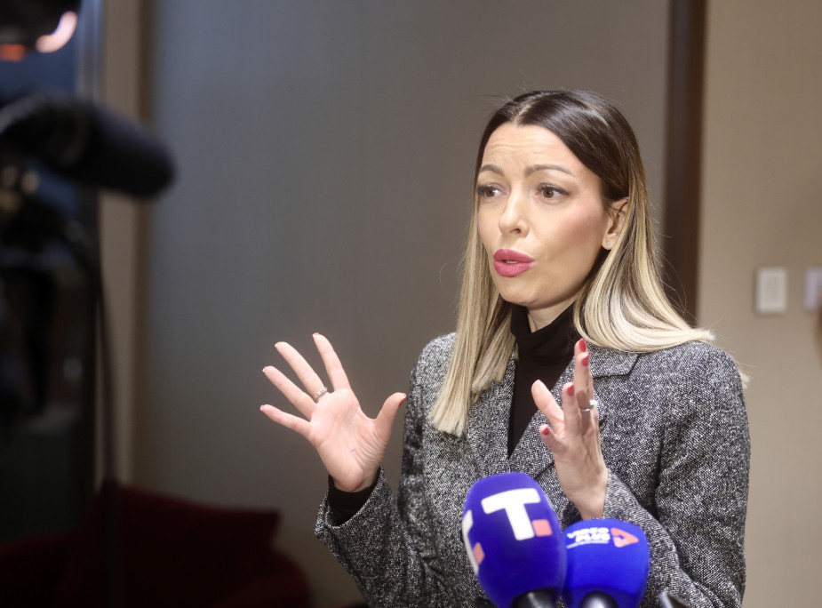 Adrijana Mesarović: Građanima Novog Sada je dosta blokaderskog nasilja i toga da ne vode normalan život