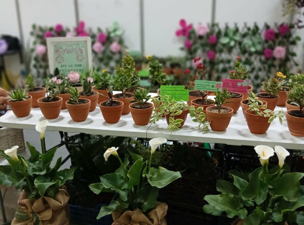 Kazneno-popravne ustanove predstavljaju proizvode na Međunarodnom sajmu hortikulture