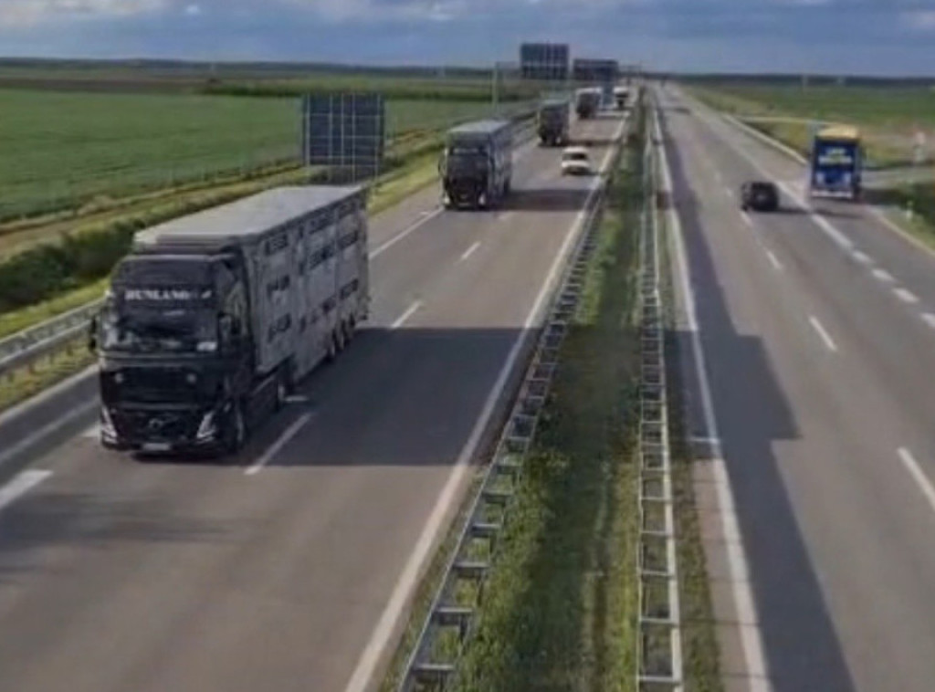 Ministarstvo: Otvoreno još jedno tržište, Srbija izvezla 8.000 jagnjadi u Libiju