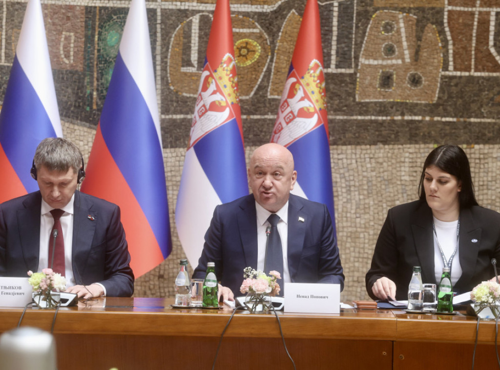 Popovic: Serbia needs Russian gas, oil for economic security, growth