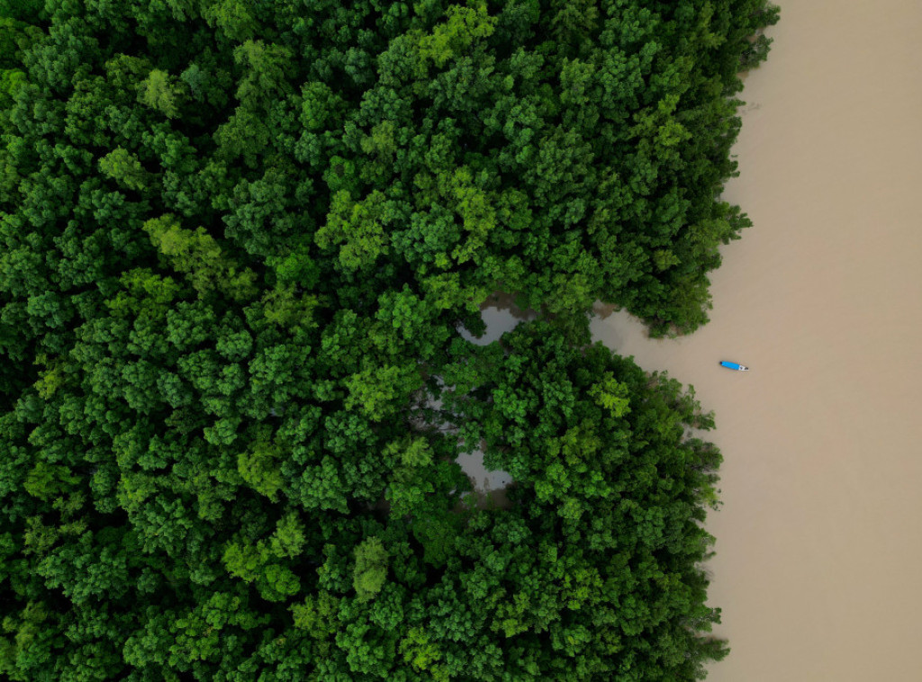 Potražnja za biogorivima raste, naročito u zemljama sa poljoprivrednom tradicijom