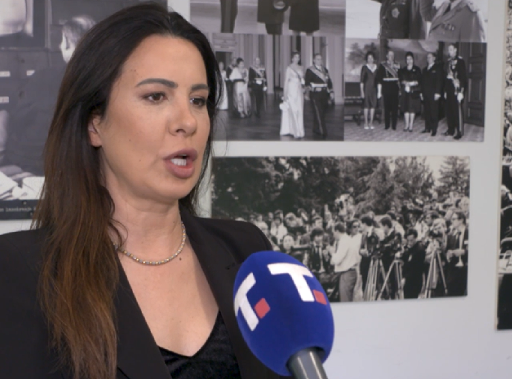 Danijela Nikolić: Održavanje novih izbora na KiM pokazuje kolaps privremenih institucija