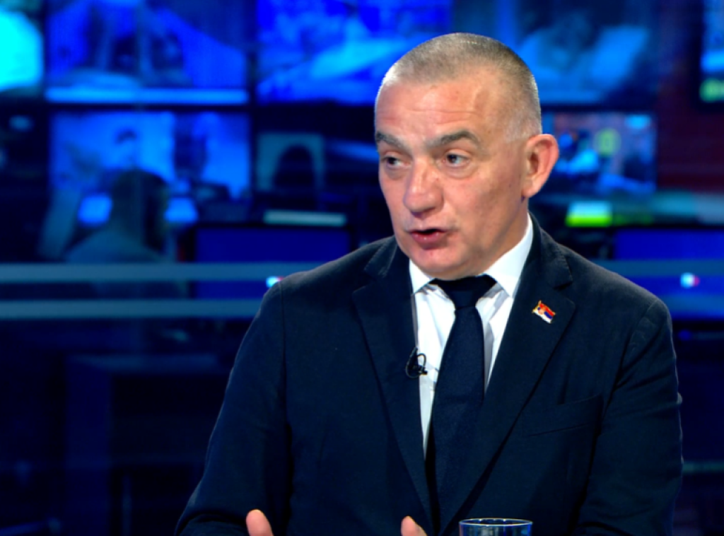 Vujić: Traženo pojašnjenje da li istraga o Mladićevoj smrti obuhva protokol lečenja
