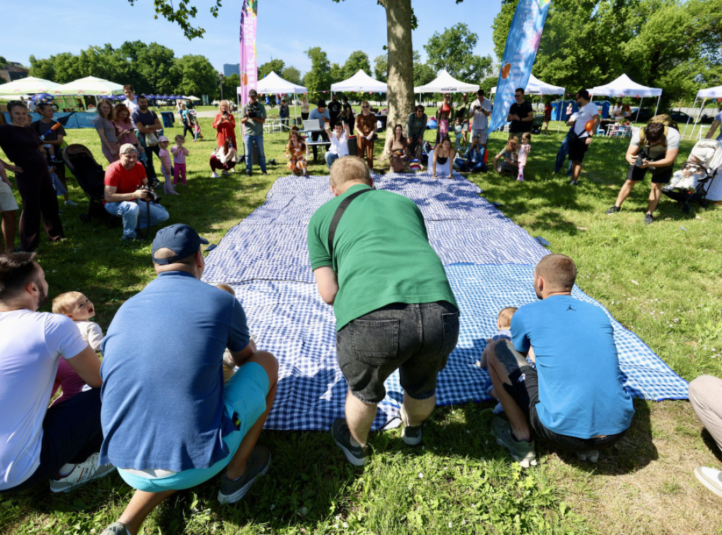 Delegacija Evropske unije i Evropska kuća organizovali Dan Evrope na Pikniku