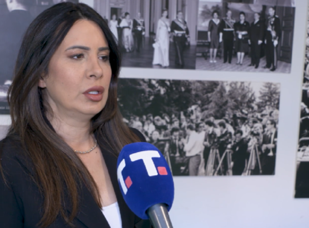 Danijela Nikolić: Kurti pokazao svoju nemoć, kukavičluk i nedostatak kampanje