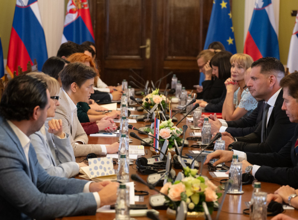Predsednik slovenačkog parlamenta Stevanović u poseti Beogradu, sastao se sa Brnabićevom