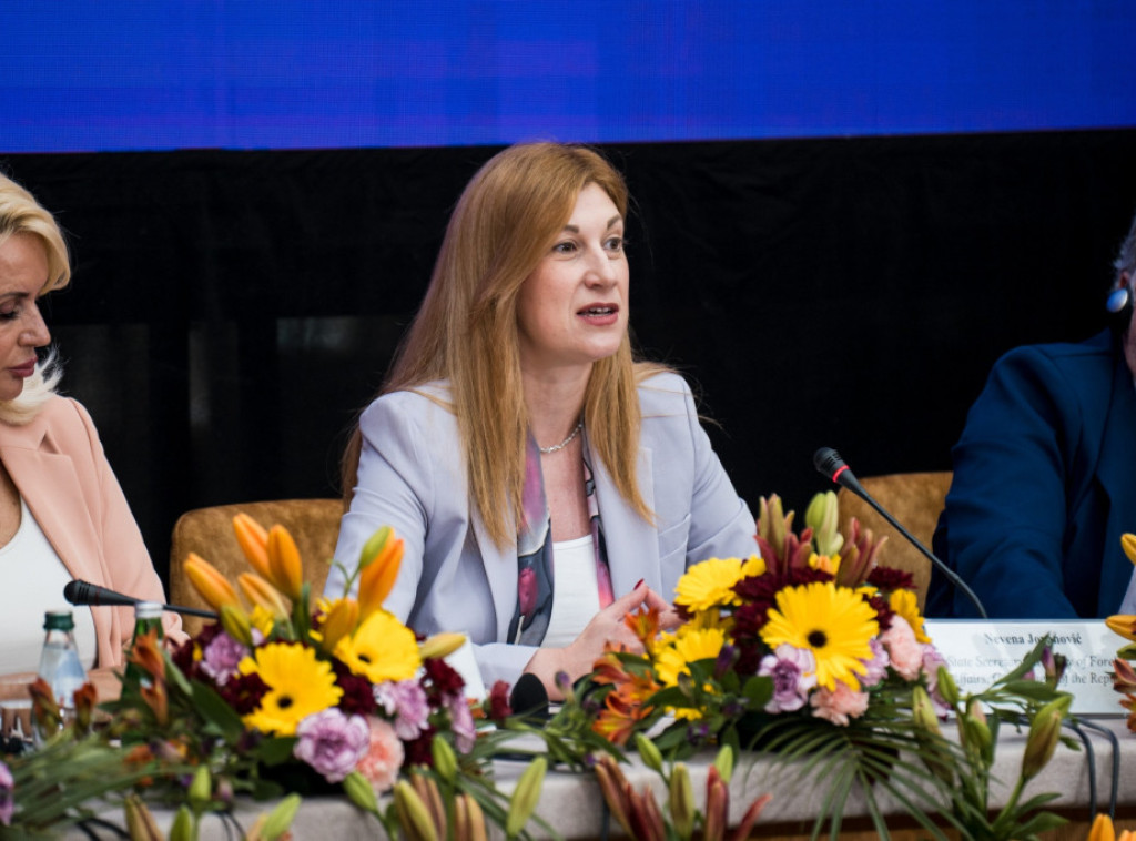 Nevena Jovanović na konferenciji Instituta za Pojas i put