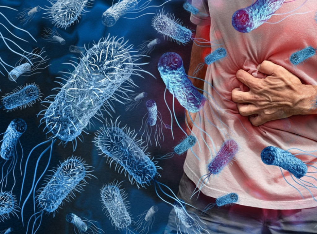 U više evropskih zemalja zabeležena epidemija infekcije salmonelom povezane s nudlama