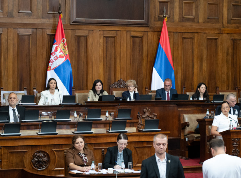 Poslanici vlasti i opozicije različito ocenjuju Predlog zakona o oružju i municiji