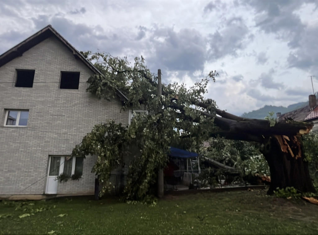 Jako nevreme pogodilo Guču, veliko drvo palo na kuću