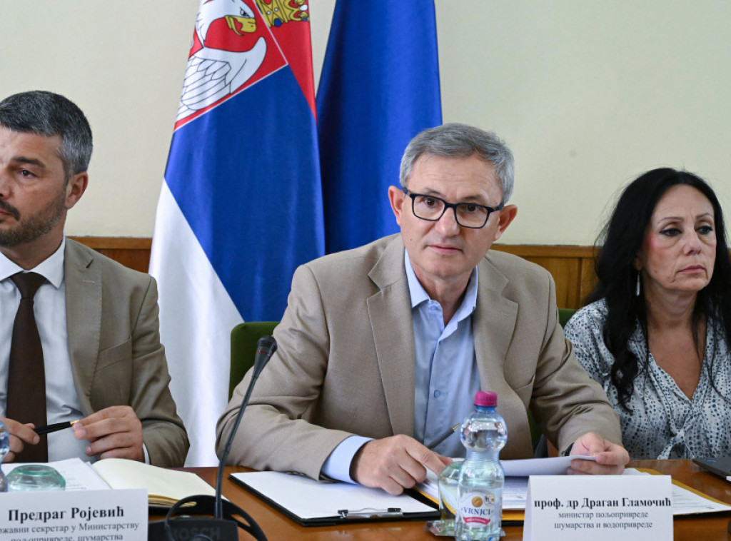 Ministar Glamočić: Smanjuje se broj novih žarišta afričke kuge svinja, nastavljamo sa merama
