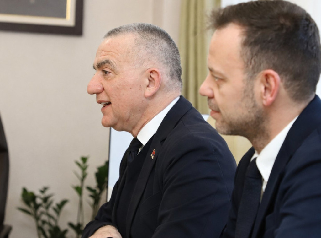 Vujić održao onlajn sastanak o vladavini prava sa evropskim komesarom za demokratiju