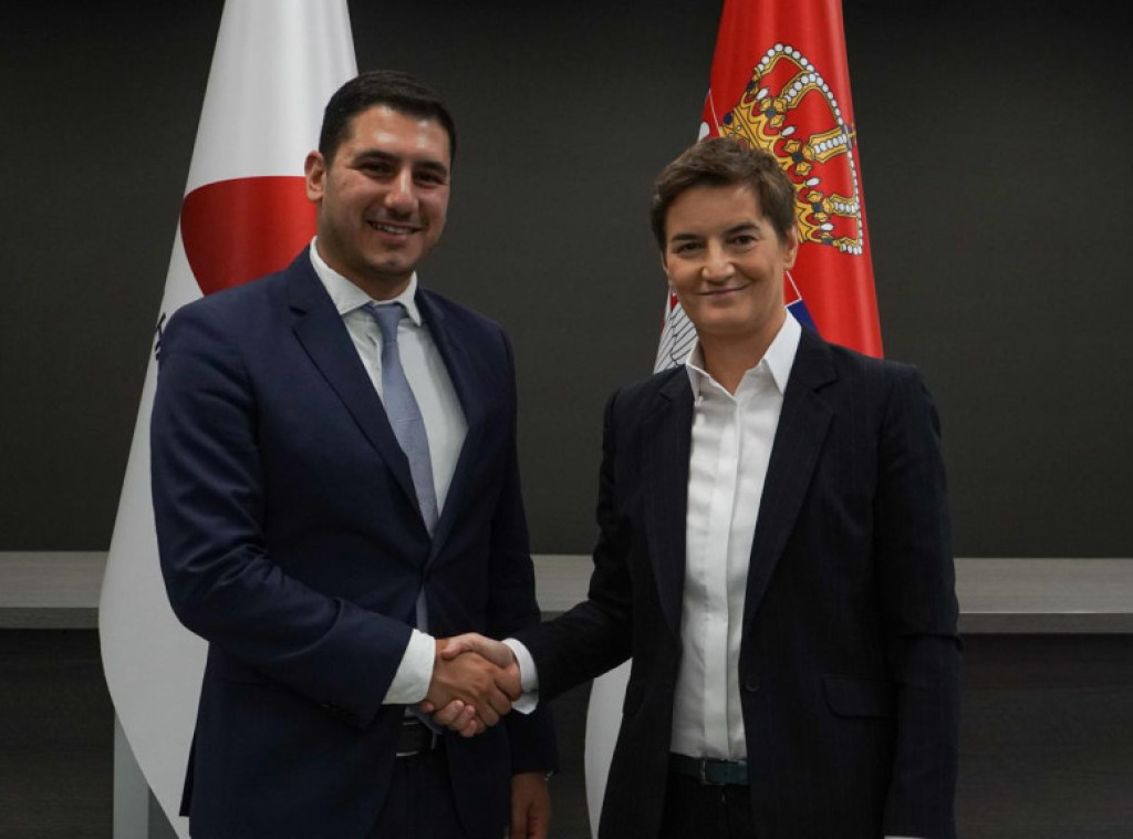 Ana Brnabić ugostila delegaciju omladine Demokratskog zbora NEDISY sa Kipra