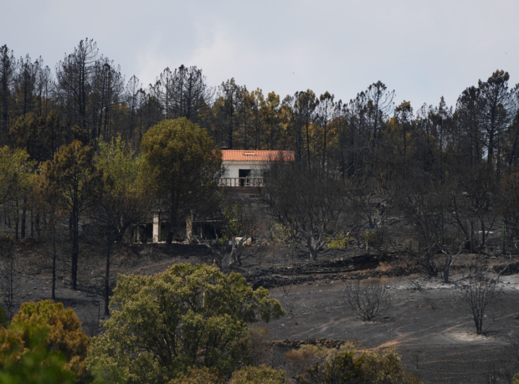 Crna Gora: Avioni-kanaderi gase požar iznad Dizdarice kod Herceg Novog