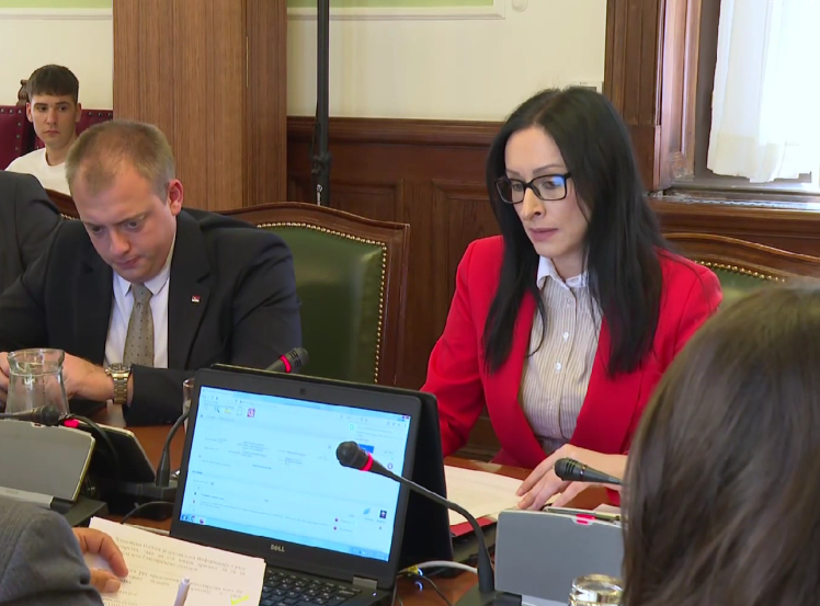 Ministarstvo za brigu o porodici nastavlja izradu Strategije demografskog razvoja