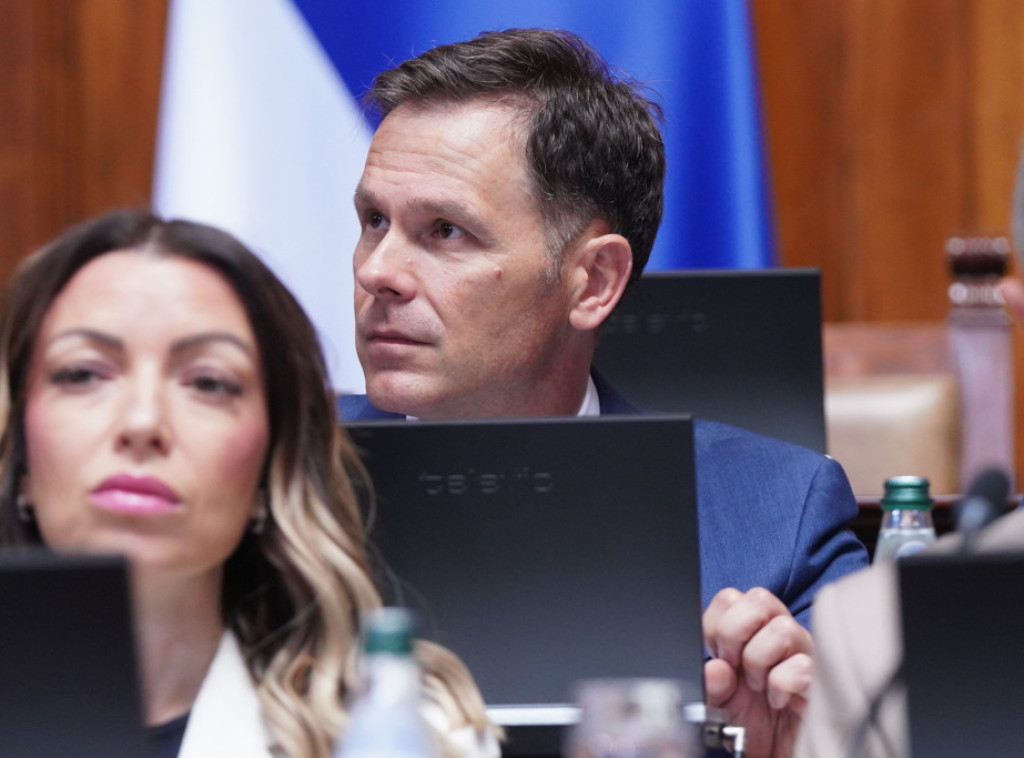 Nova polemika Malog i Aleksića, Brnabić i Mali osudili targetiranje Aleksićeve ćerke