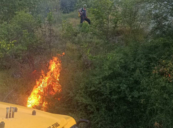 U blizini više sela oko Trebinja izbili požari