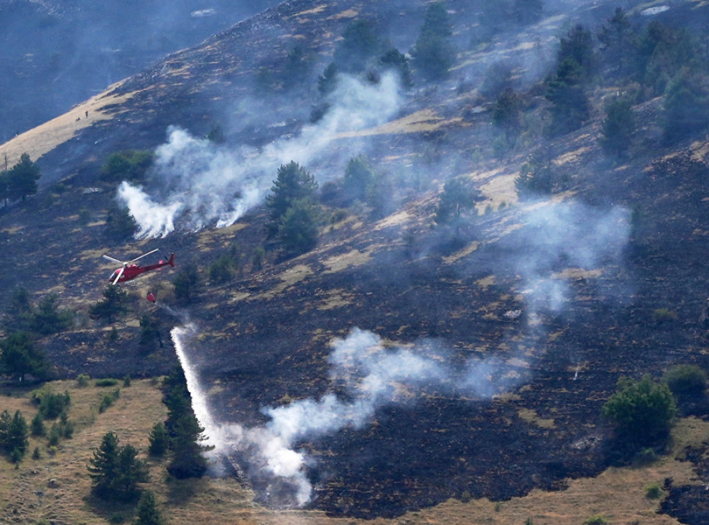 Albanija: Požar izbio na planini Kruja, ugroženo oko 30 kuća i nekoliko preduzeća
