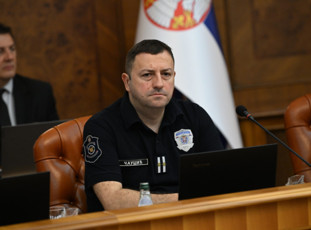 Čaušić: Požar kod Ušća likvidiran, naizazovnija situacija u Deliblatskoj peščari