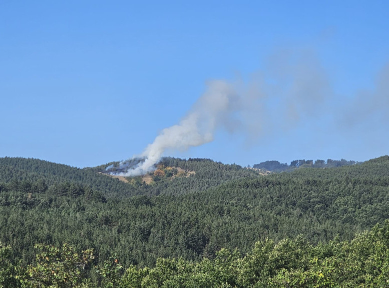 Od 40 požara u Srbiji nisu lokalizovani samo oni u Deliblatskoj peščari i na Stolovima