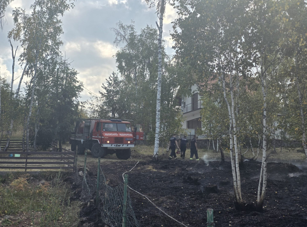 U Srbiji aktivno 45 požara, najteže u Deliblatskoj peščari i na planini Stolovi