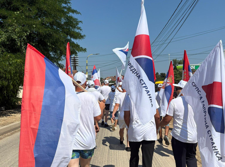 Maloletnik u Kragujevcu skinuo i bacio dve zastave SNS, dobio prekršajnu prijavu