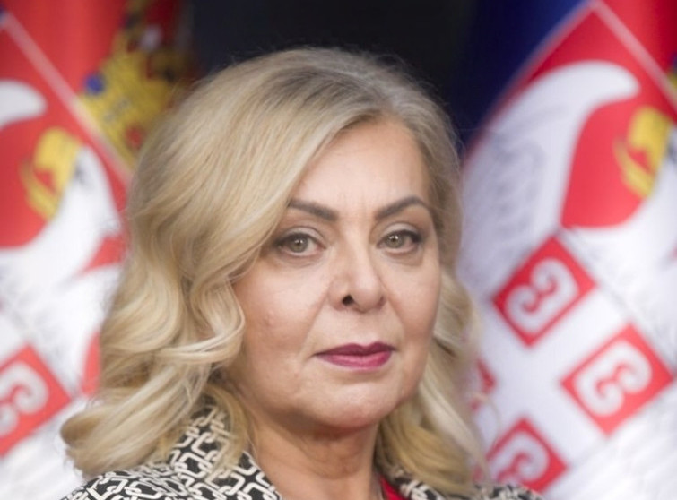 Sofronijevićeva: Soko počeo provere na mađarskom delu pruge Beograd - Budimpešta