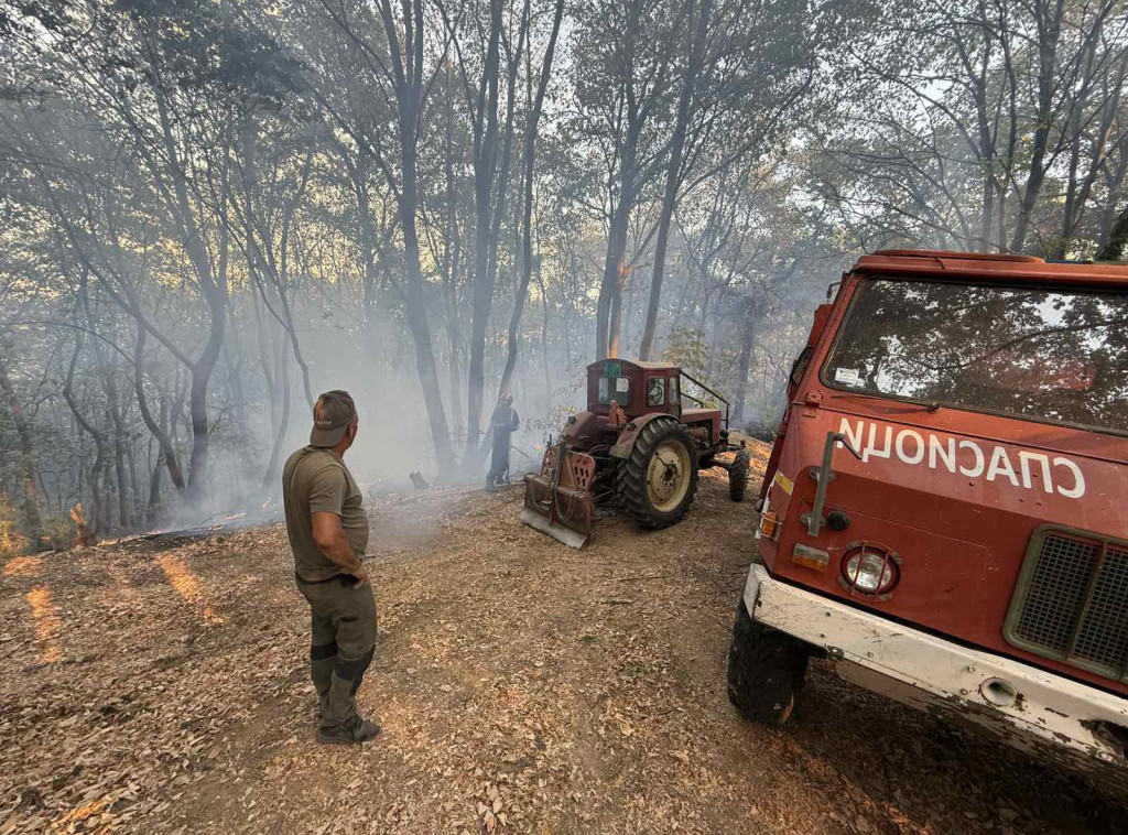 Ugašen požar na Fruškoj gori, vatra gorela skoro 20 sati
