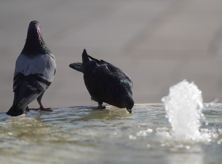 RHMZ upozorava na visoke temperature i nepovoljne meteorološke uslove naredna dva dana