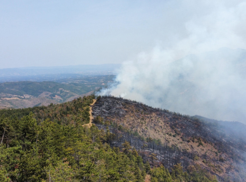 Ponovo se aktivirao požar u Kaoni, ugrožava više od 100 hektara šume