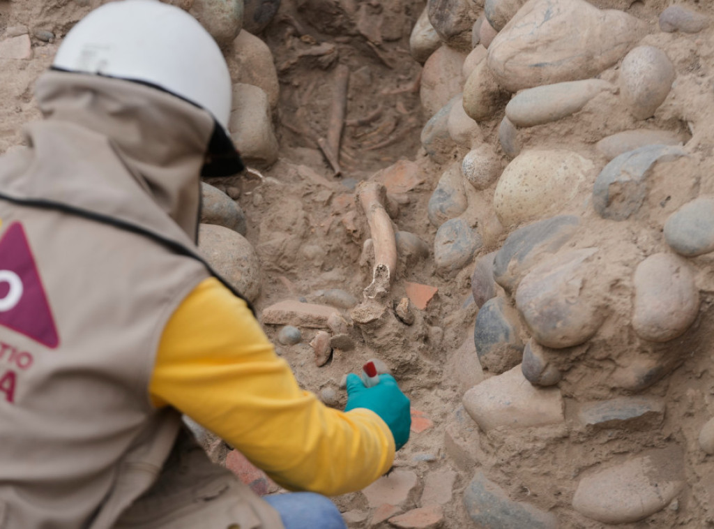 Pronađeni prvi poznati otisci stopala odraslog tiranosaurus reksa