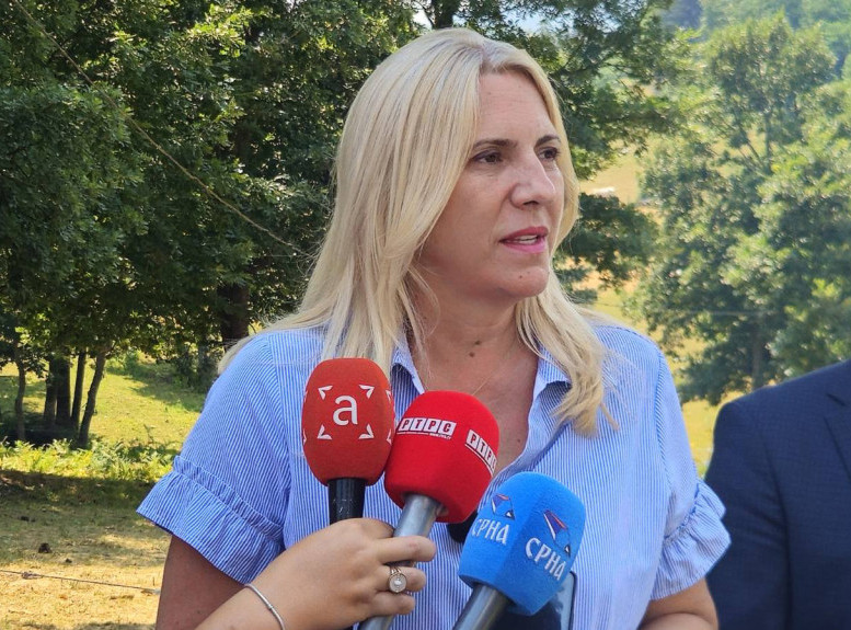 Cvijanović sa šeficom OES S razgovarala o političkoj situaciji u BiH i izbornom procesu