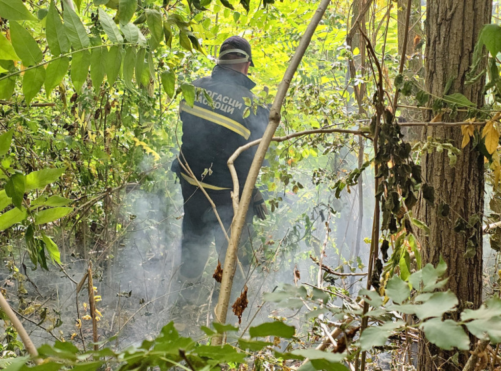 Vatrogasci spasili selo Osmakovo na padinama Stare planine od vatrene stihije